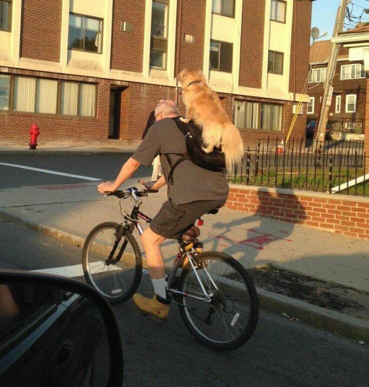 Daily Picdump
