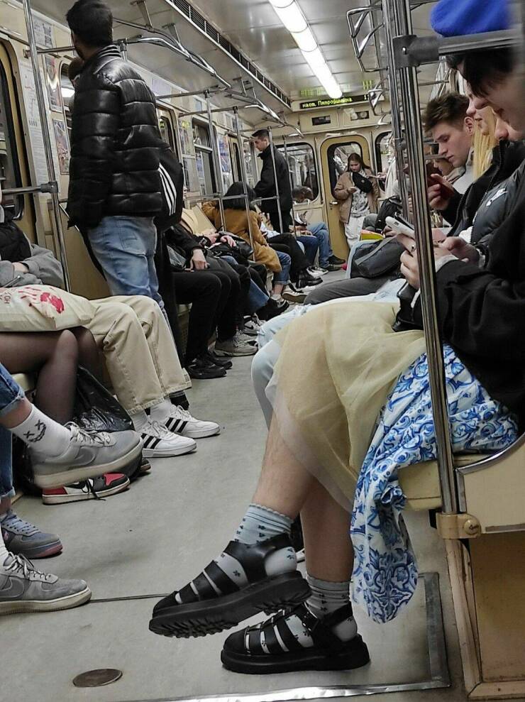 Daily Picdump