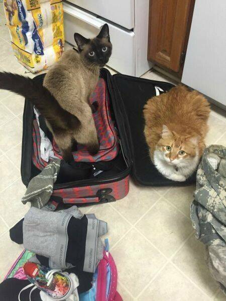 Daily Picdump