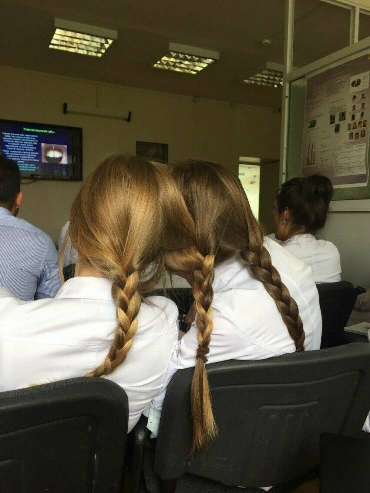 Daily Picdump