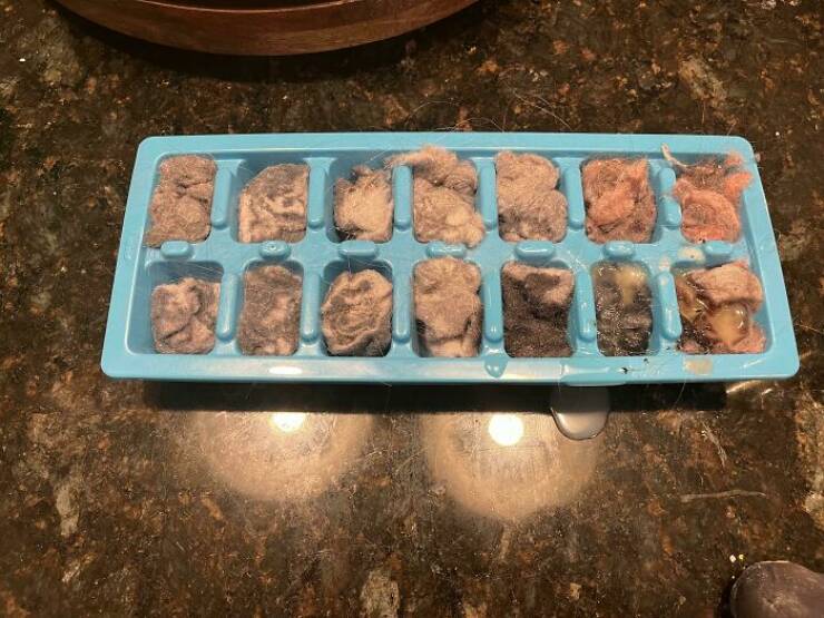 People Share Their Top Zero Waste Hacks