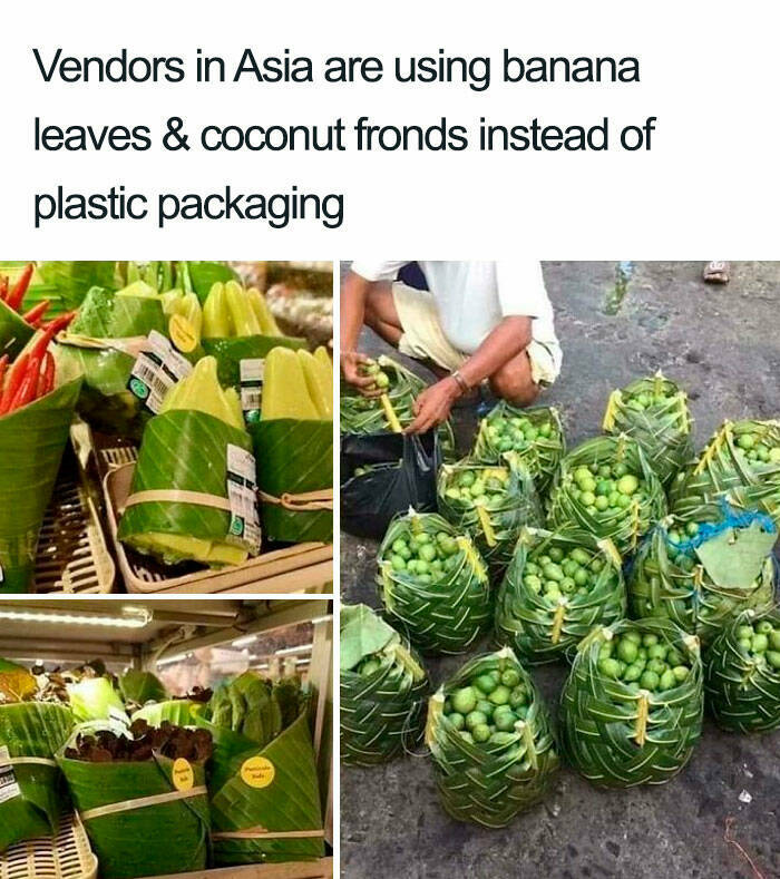 People Share Their Top Zero Waste Hacks