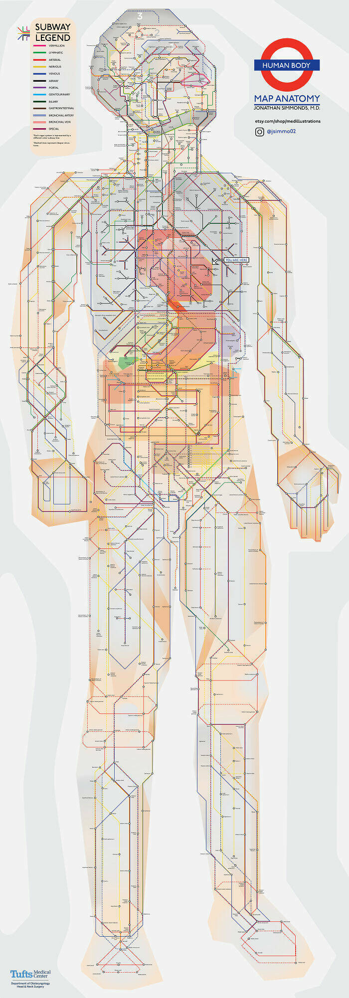 Charts That Make Complex Information Crystal Clear