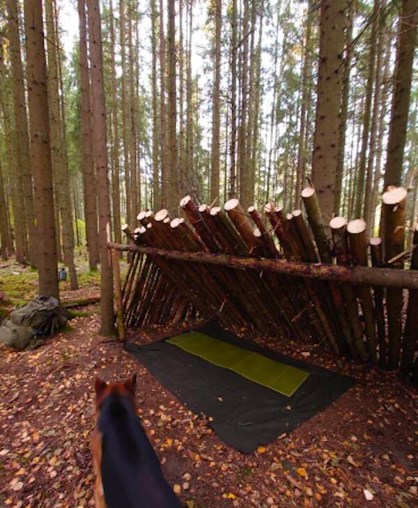 Exploring The Growing Popularity Of Bushcraft Culture