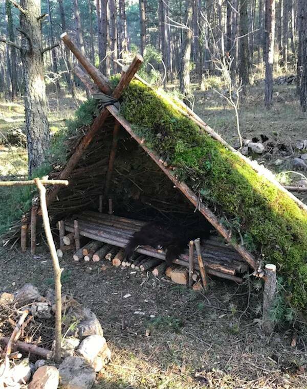 Exploring The Growing Popularity Of Bushcraft Culture