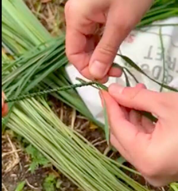 Exploring The Growing Popularity Of Bushcraft Culture