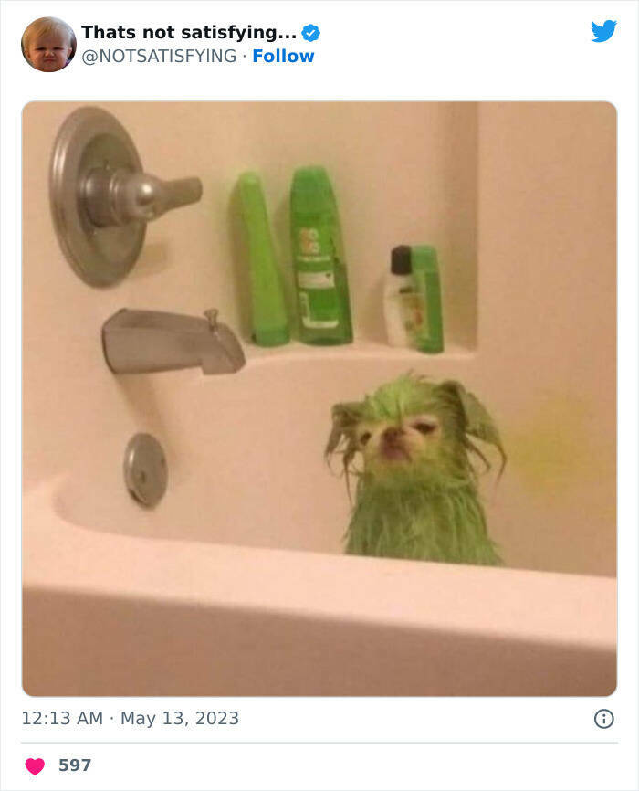 The Strangest Tweets: Dive Into The Weirdness Of Twitter