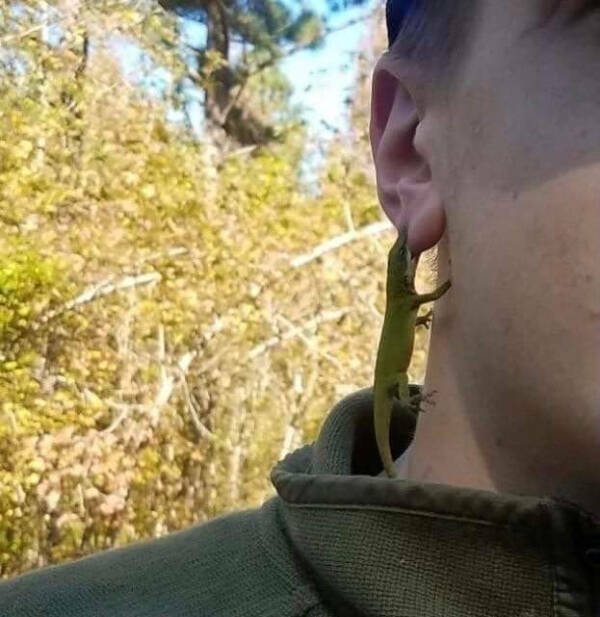 Bizarre Visual Oddities: A Gallery Of The Unusual Bizarre Visual Oddities: A Gallery Of The Unusual