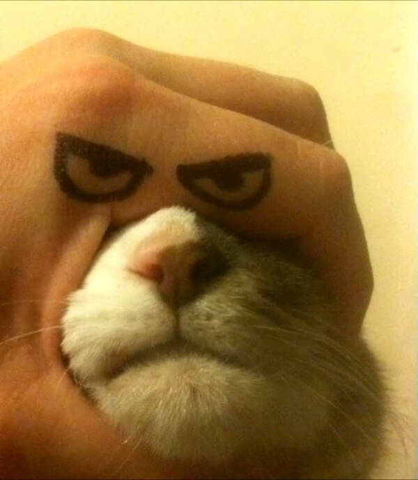 Bizarre Visual Oddities: A Gallery Of The Unusual Bizarre Visual Oddities: A Gallery Of The Unusual