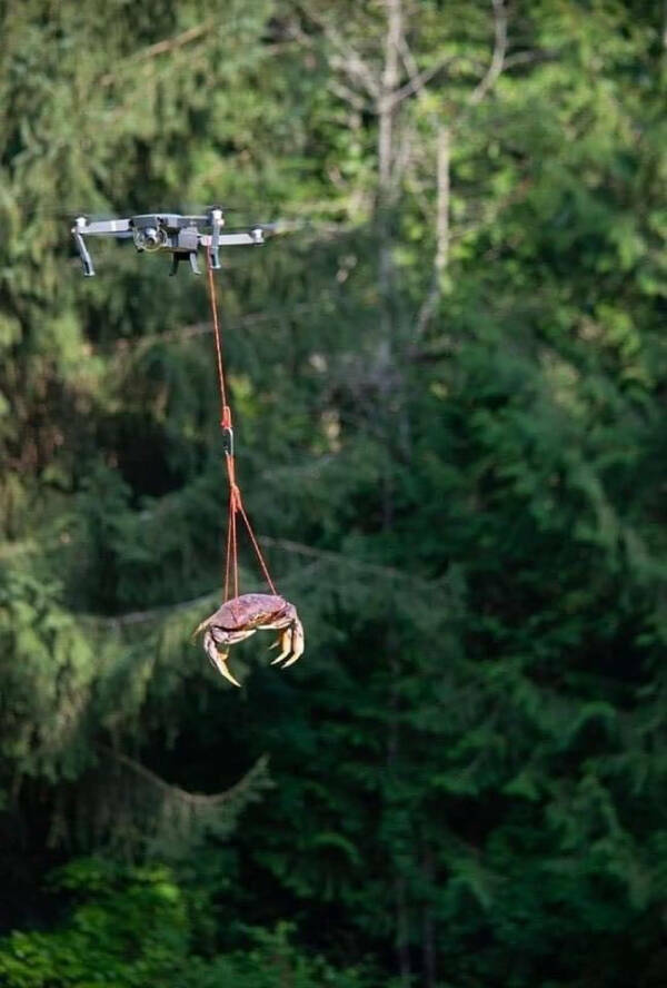 Bizarre Visual Oddities: A Gallery Of The Unusual Bizarre Visual Oddities: A Gallery Of The Unusual