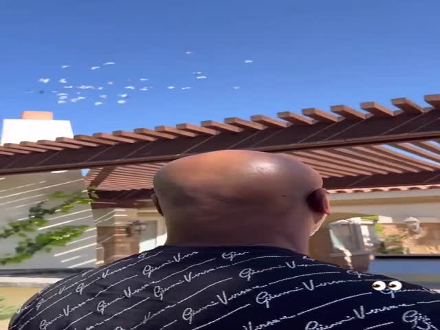 Mike Tyson Showed His Pigeons In The Backyard