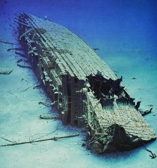 Internet Wonders: Exploring The Most Fascinating Images On The Web