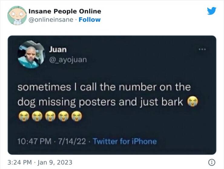 Web Wonders: Unveiling The Most Outrageous Posts from The Online Insanity