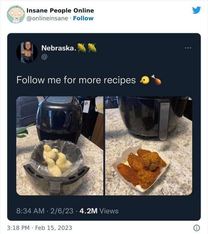 Web Wonders: Unveiling The Most Outrageous Posts from The Online Insanity