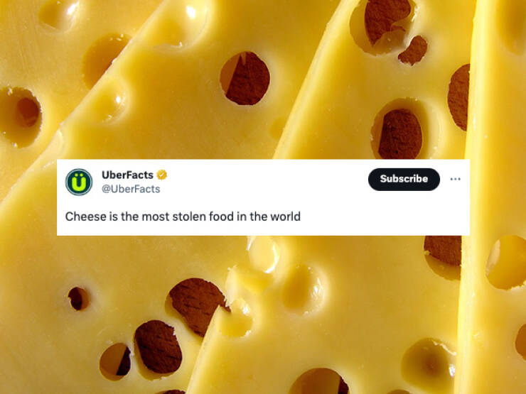 Mind-Blowing Trivia That Will Leave You Astonished And Hungry For More