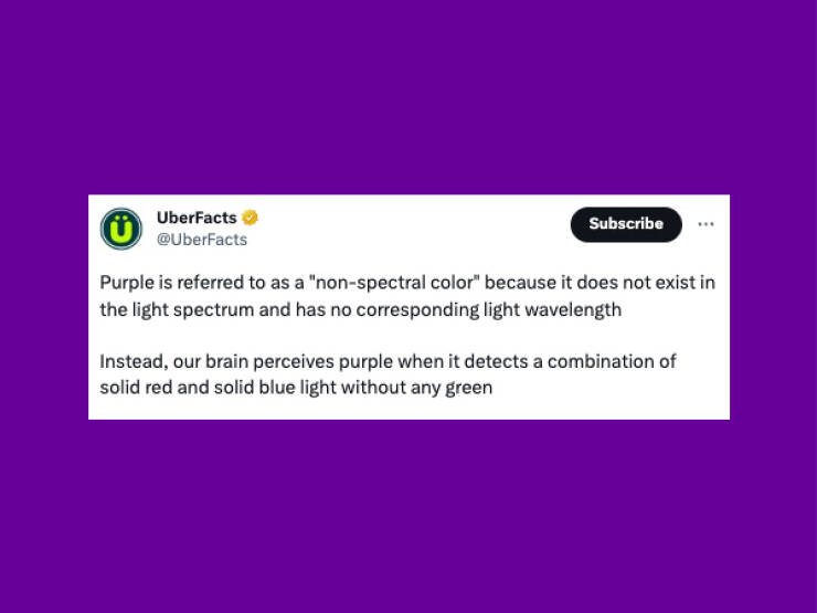 Mind-Blowing Trivia That Will Leave You Astonished And Hungry For More