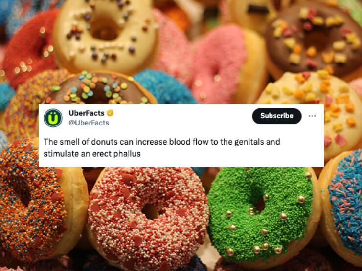 Mind-Blowing Trivia That Will Leave You Astonished And Hungry For More