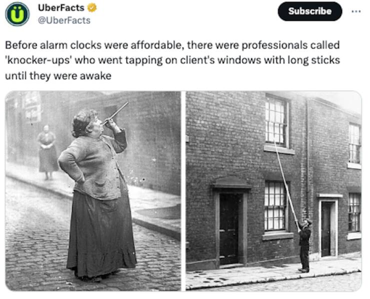 Mind-Blowing Trivia That Will Leave You Astonished And Hungry For More