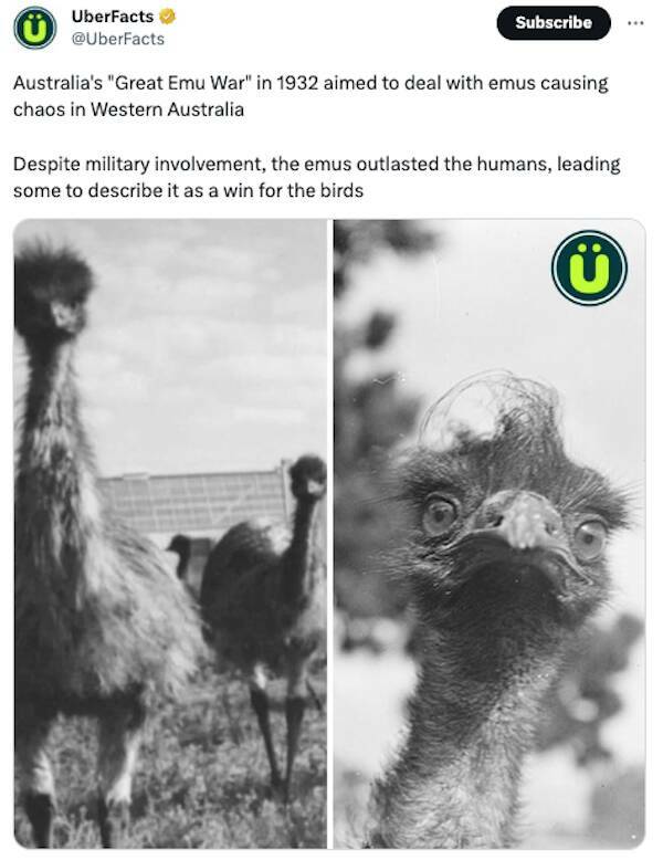 Mind-Blowing Trivia That Will Leave You Astonished And Hungry For More