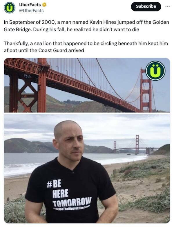 Mind-Blowing Trivia That Will Leave You Astonished And Hungry For More