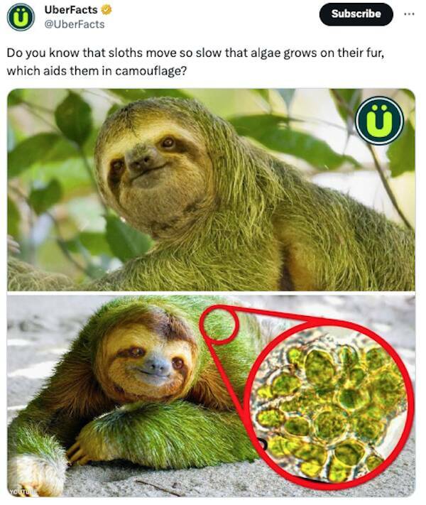 Mind-Blowing Trivia That Will Leave You Astonished And Hungry For More