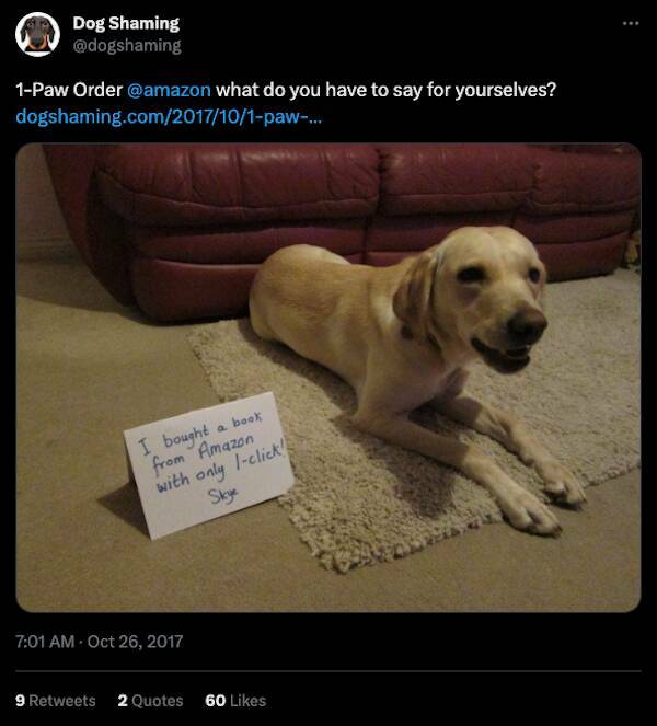 Relentless Dog Shaming Until Morale Ascends