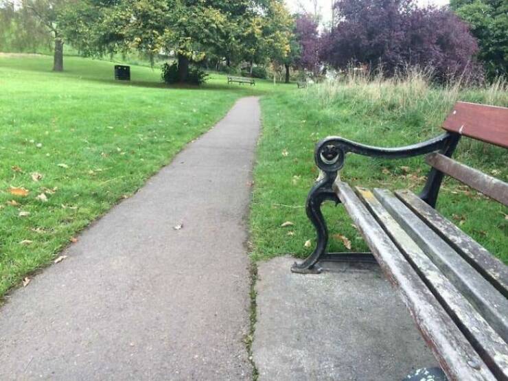 Bizarrely Funny: The Most Unconventional And Comical Images Youll Ever See