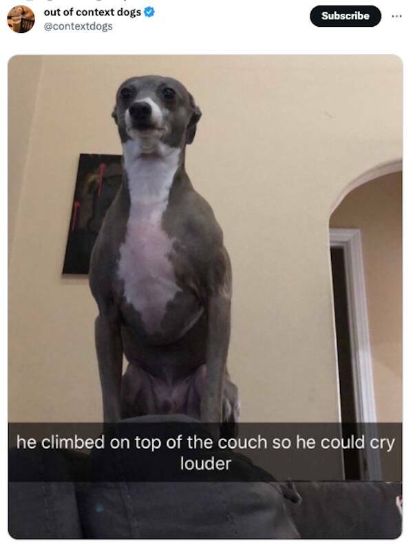 Weekly Chuckles: The Most Hilarious Tweets Of The Week