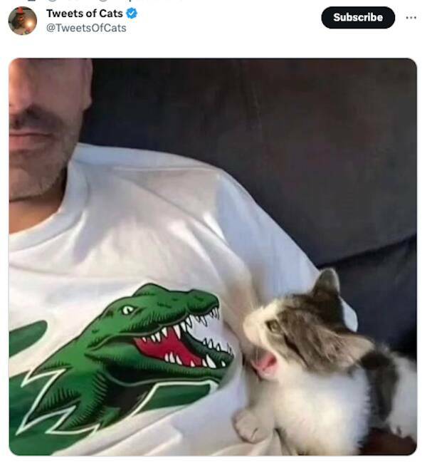 Weekly Chuckles: The Most Hilarious Tweets Of The Week