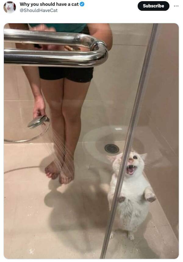 Weekly Chuckles: The Most Hilarious Tweets Of The Week