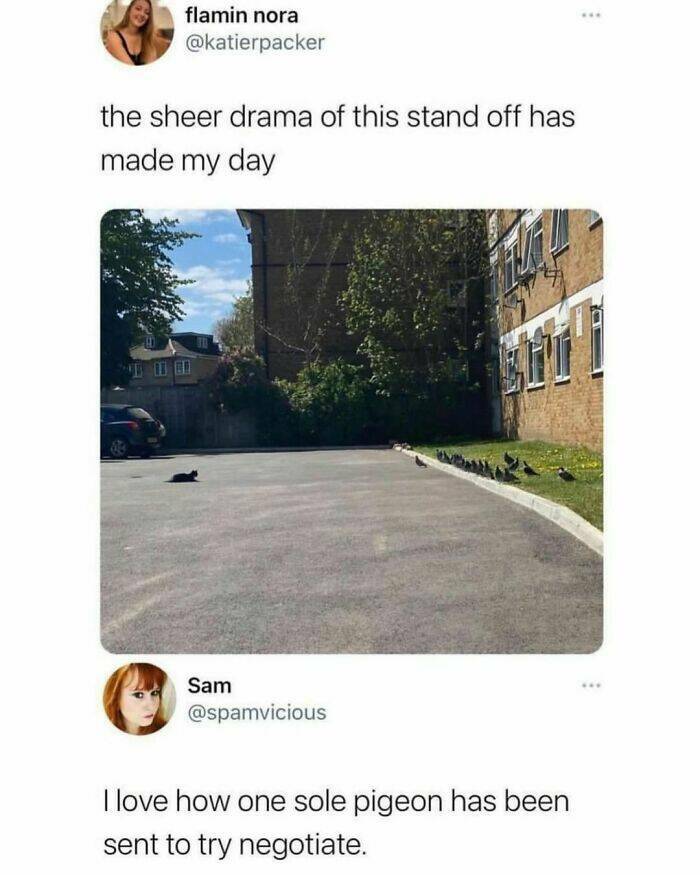 Hilarious Animal Memes Guaranteed To Put A Smile On Your Face