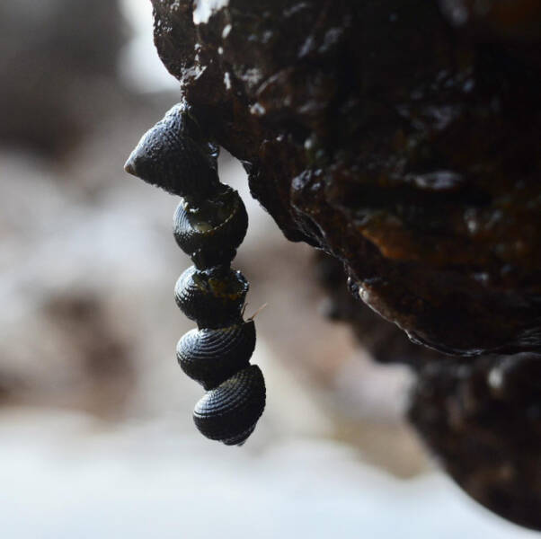 Surprising Discoveries: Unanticipated Treasures People Found On Their Beach Strolls