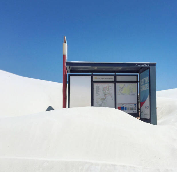 Surprising Discoveries: Unanticipated Treasures People Found On Their Beach Strolls