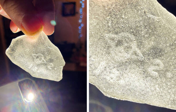 Surprising Discoveries: Unanticipated Treasures People Found On Their Beach Strolls