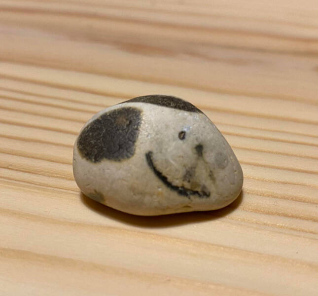 Surprising Discoveries: Unanticipated Treasures People Found On Their Beach Strolls
