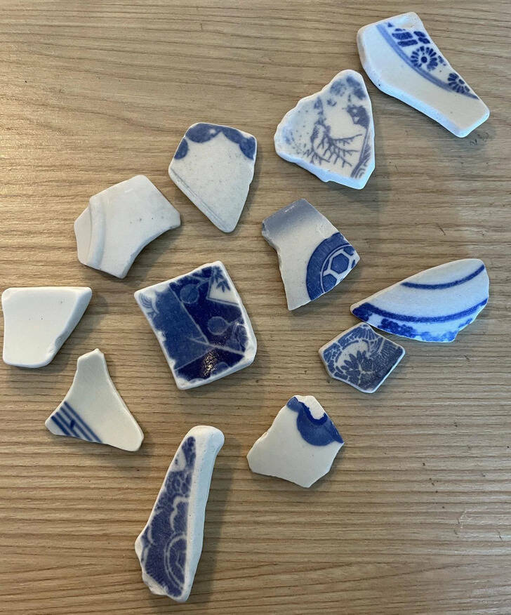 Surprising Discoveries: Unanticipated Treasures People Found On Their Beach Strolls
