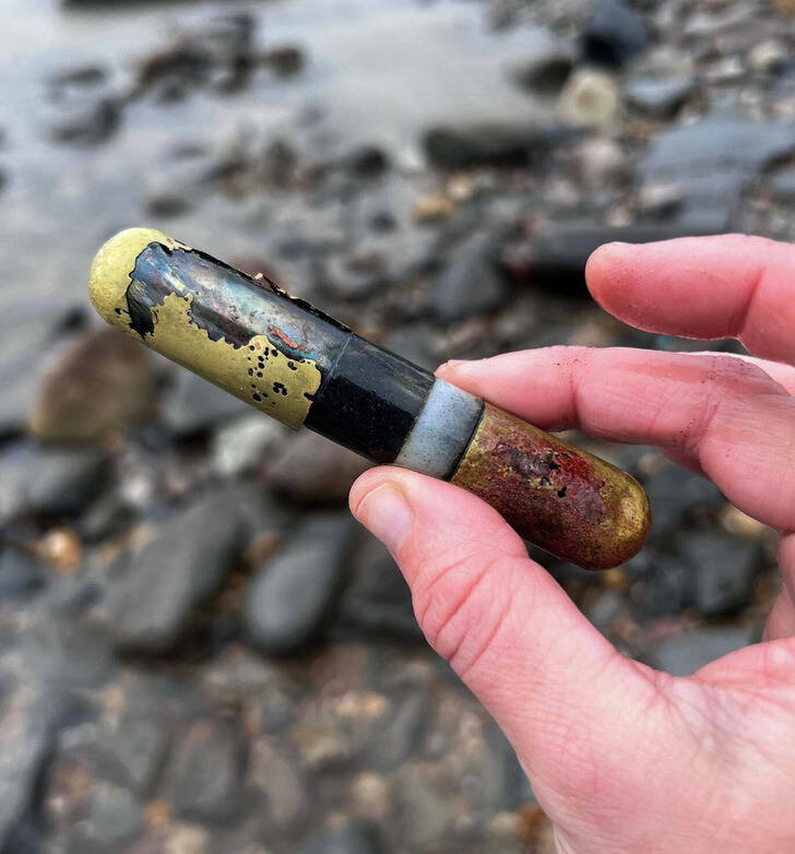 Surprising Discoveries: Unanticipated Treasures People Found On Their Beach Strolls