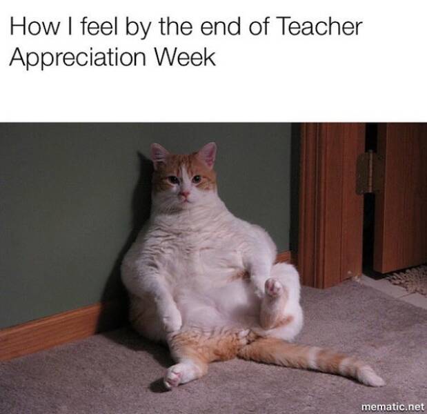 Teacher Humor: Memes That Only Educators Can Relate To