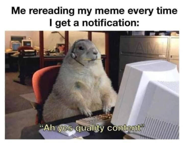Humor In The Wild: Memes That Showcase The Majestic And Hilarious Side Of Animals