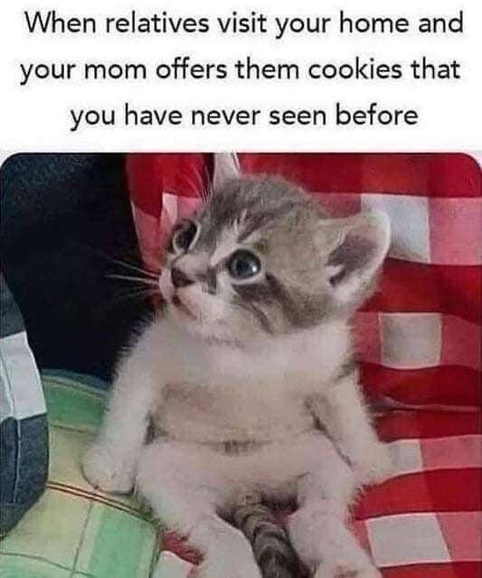 Humor In The Wild: Memes That Showcase The Majestic And Hilarious Side Of Animals