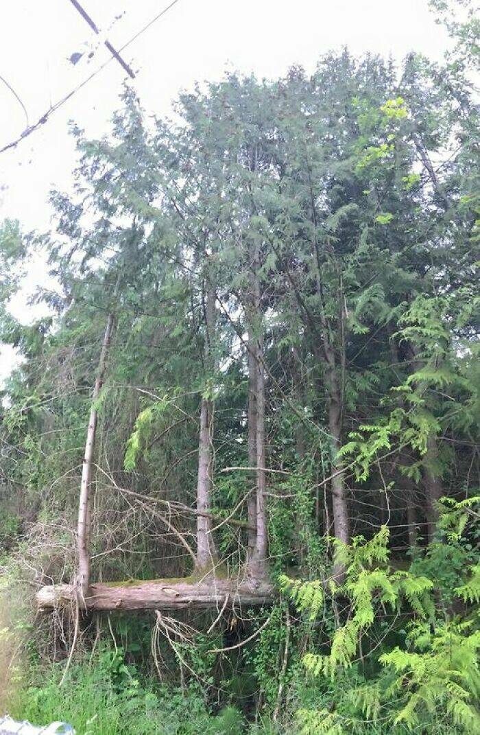 Mildly Intriguing: Images That Offer A Subtle Amusement