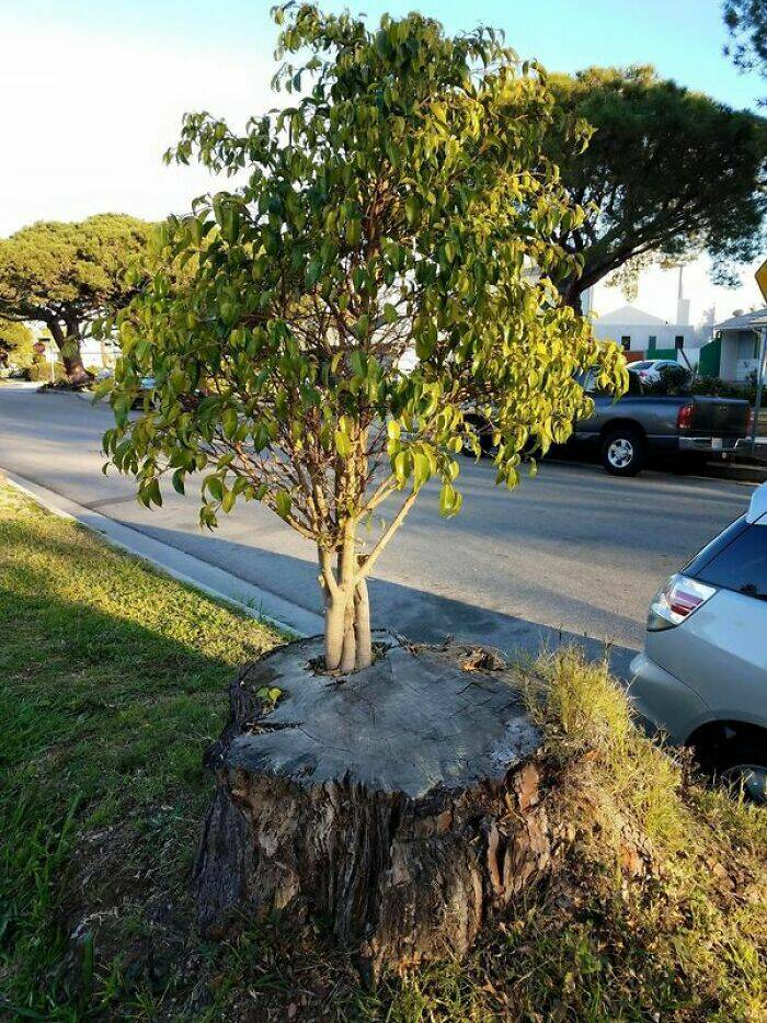 Mildly Intriguing: Images That Offer A Subtle Amusement