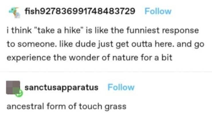 Witty And Unforgettable: Incredibly Clever Comments From Total Strangers