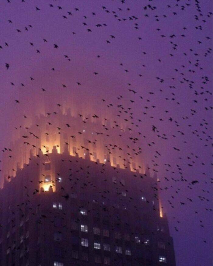 Curiously Creepy: Exploring The Unconventional Curiously Creepy: Exploring The Unconventional Evil Buildings