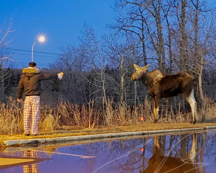 Extraordinary Captures: Photos You Wont Encounter On A Regular Day