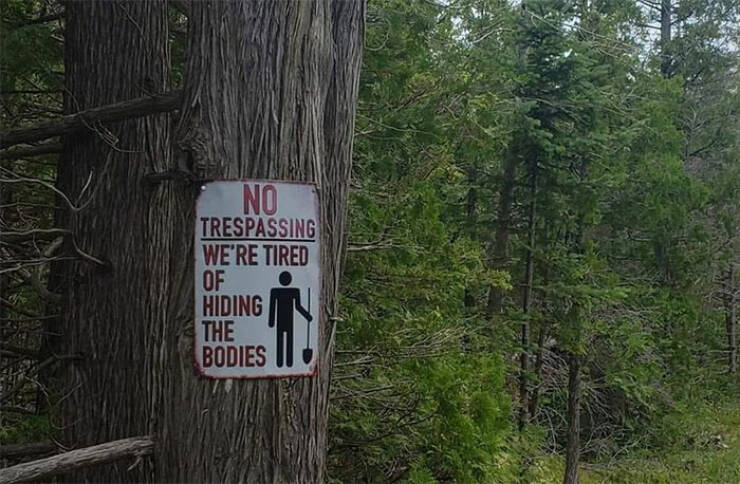 When Signs Make You Smile: The Most Shareable And Funny Ones