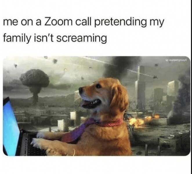 Parenting Memes: Celebrating The Joys And Challenges Of Raising Kids Parenting Memes: Celebrating The Joys And Challenges Of Raising Kids