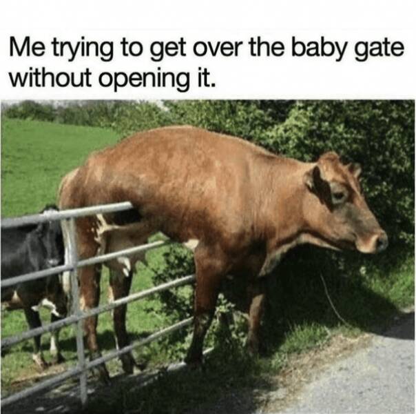 Parenting Memes: Celebrating The Joys And Challenges Of Raising Kids Parenting Memes: Celebrating The Joys And Challenges Of Raising Kids