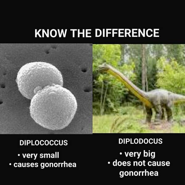 Laughing With Science: Hilarious Jokes And Memes To Tickle Your Brain
