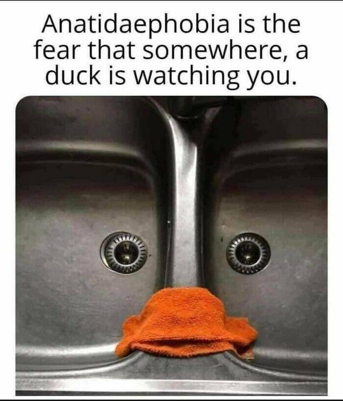 Laughing With Science: Hilarious Jokes And Memes To Tickle Your Brain
